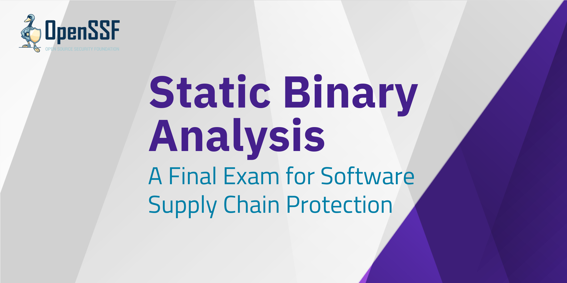 Static Binary Analysis